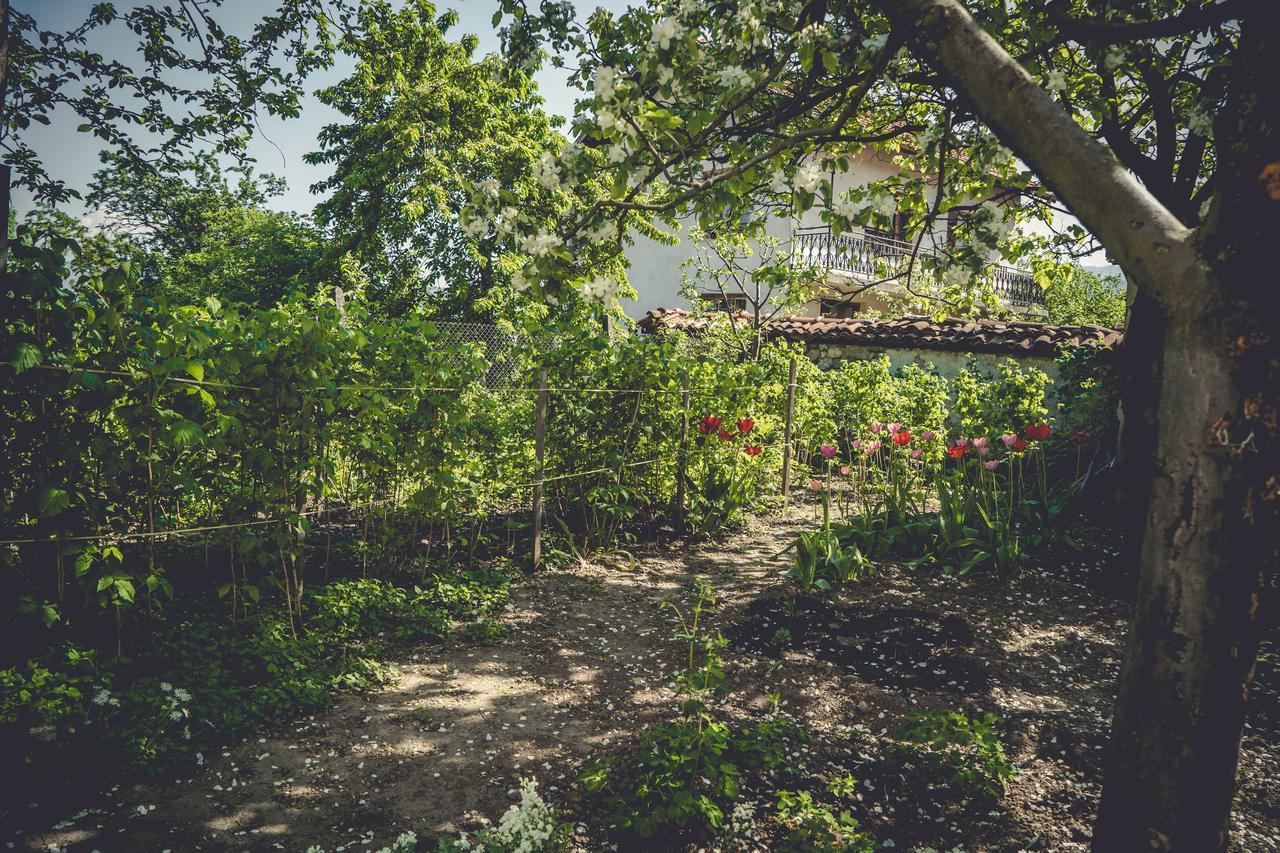 Art Studio Sapareva Banya Exterior photo